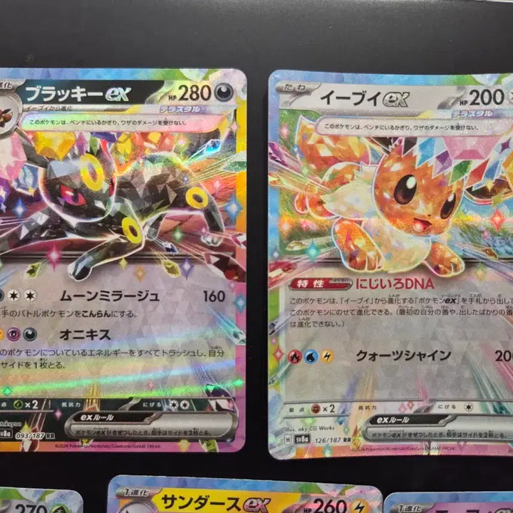 [BUNJANG] Pokemon Card Eeveelution EX Full Set Bundle / (일본판) 포켓몬카드 이브이&amp;블래키&amp;님피아 등 이브이즈 EX 일괄 풀세트