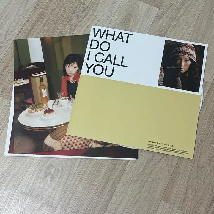 [BUNJANG] Taeyeon What Do I Call You LP / 태연 LP - What Do I Call You 엘피
