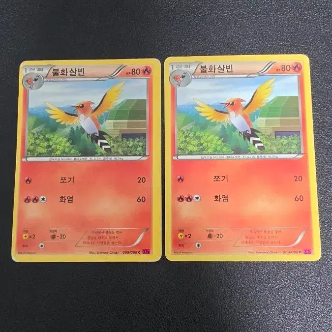 [BUNJANG] Pokemon Card Fire Arrow Bean XY4 009 / 포켓몬 카드 불화살빈 xy4 009