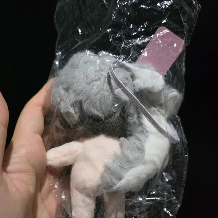 [BUNJANG] Plave Eunho Unofficial Doll Magnetic Tail &amp; Ears / 아가은호,비공식 인형 , 도은호 plave