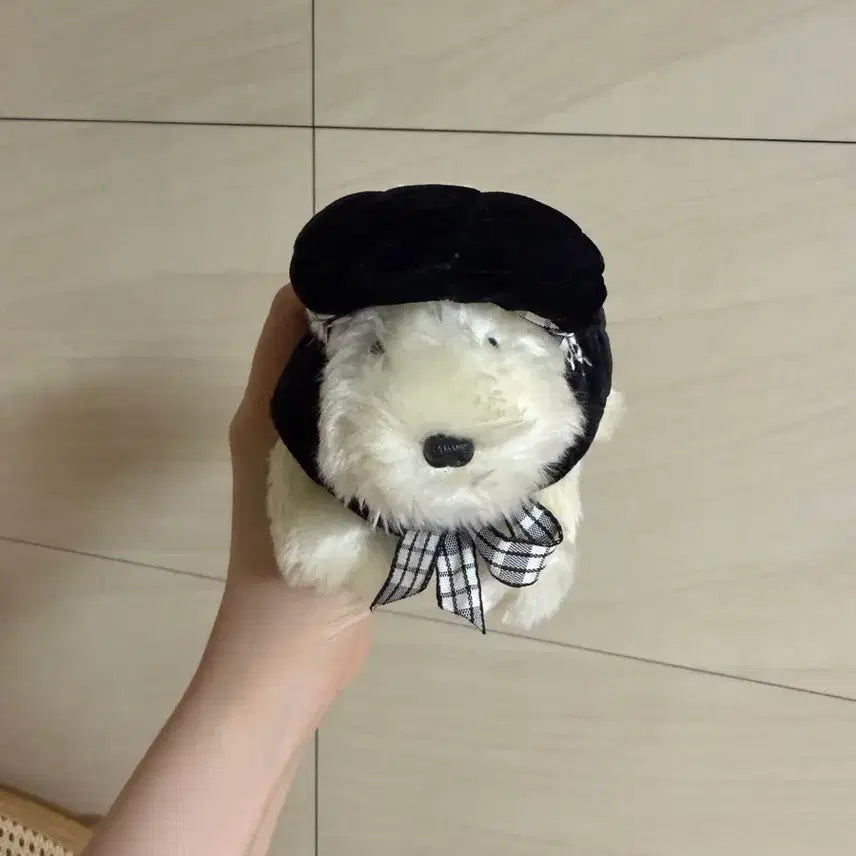 [BUNJANG] Murphee Bear Lulu Plush Toy with Outfits / 머피베어 루루