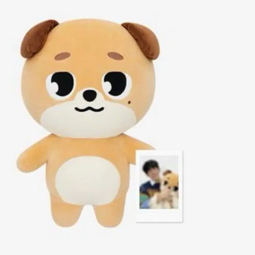[BUNJANG] DAY6 Giant Denimals Donnie Photocard / 데이식스 자이언트 데니멀즈 돈 양도합니다