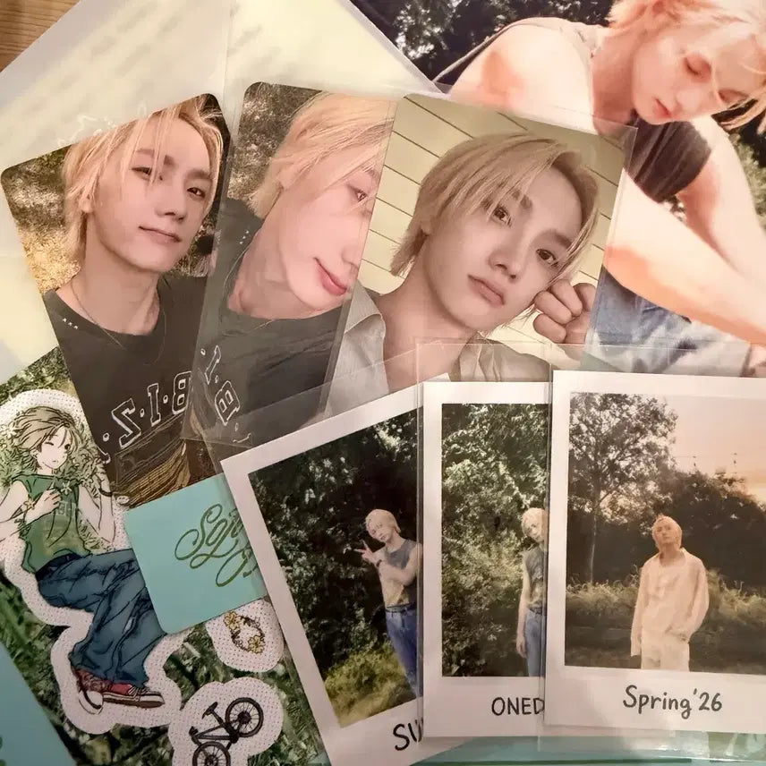 [BUNJANG] BOYNEXTDOOR Sungho Collected Photocard Album Set / 보이넥스트도어 콜렉티드북3 성호 풀셋 판매