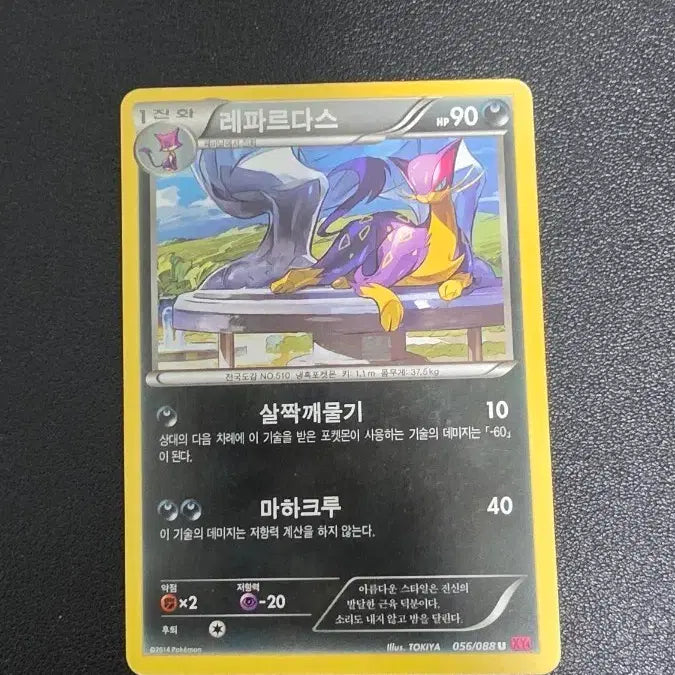 [BUNJANG] Pokemon Card Leopar-d * XY4 056 / 포켓몬 카드 레파르다스 xy4 056