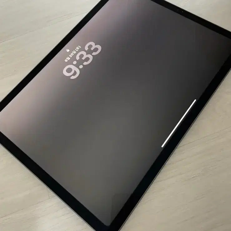 [BUNJANG] Apple iPad Pro 11-inch 2nd Generation 256GB / 아이패드 프로 11 2세대 256GB