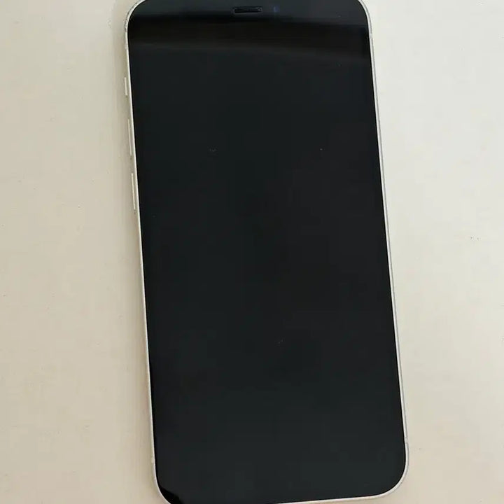 [BUNJANG] Apple iPhone 12 mini 128GB Unlocked / 아이폰 12 mini 미니 공기계 공폰 128기가