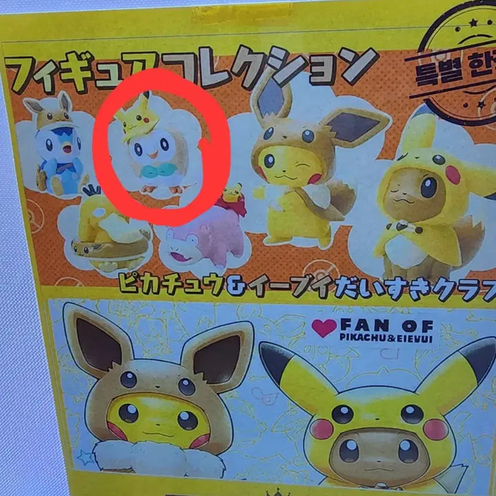 [BUNJANG] Pokemon Center Fan of Pikachu Eevee Daisuki Club Rowlet Gacha / 새상품)포켓몬 센터 팬 오브 피카츄 이브이 다이스키 클럽 나몰빼미 가챠