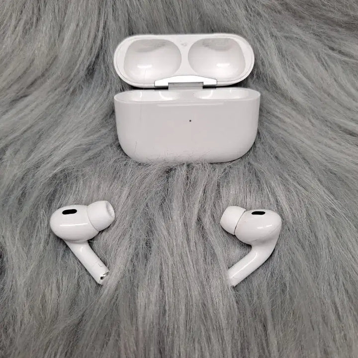 [BUNJANG] Apple AirPods Pro 2nd Generation (Lightning) Full Box / SS급 애플 에어팟 프로 2세대 [라이트닝] 풀박스 판매합니다