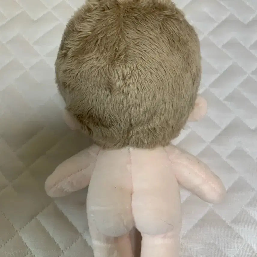 [BUNJANG] 15cm Unspecified Origin Walnut Cat Plush Doll (Nyanghodu) / 15cm 무속성 호두냥 (냥호두)