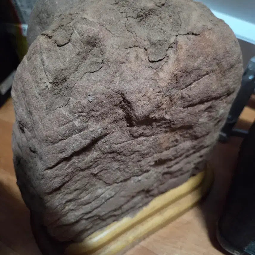 [BUNJANG] Genuine Dinosaur Egg Fossil with Display Stand / 공룡알 화석