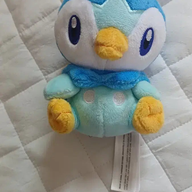 [BUNJANG] Pokemon Piplup Fit Plush / 포켓몬스터 팽도리 fit 인형