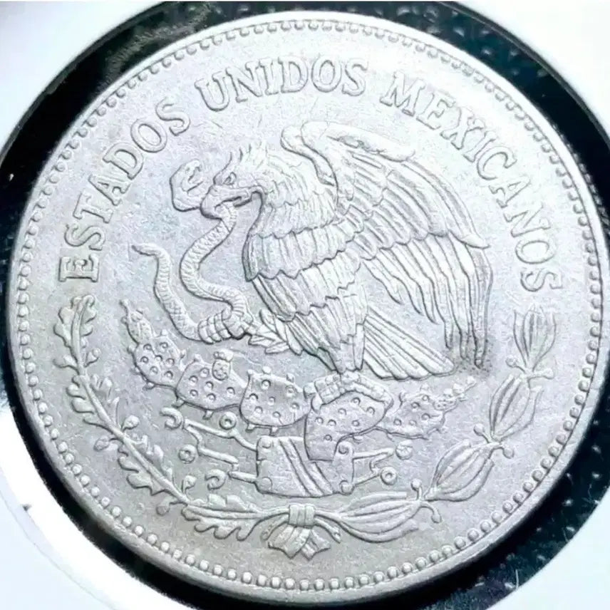 [BUNJANG] Mexico 1982 50 Pesos Large Coin / 멕시코 1982년 50페소 대형주화.외국주화 주화 화폐 동전