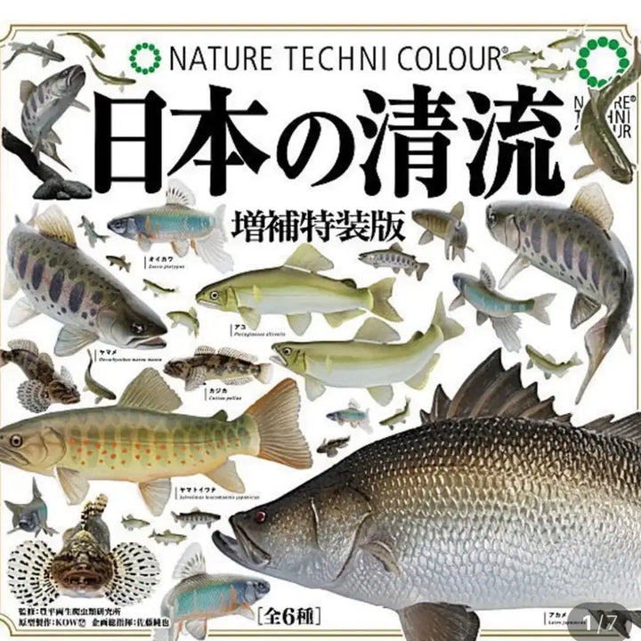 [BUNJANG] Freshwater Fish Full Set Gacha Figures / 일본가챠 생물가챠 민물고기 풀셋판매