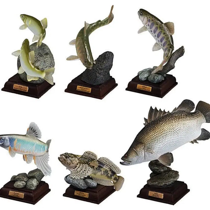 [SOLD OUT] 일본가챠 생물가챠 민물고기 풀셋판매