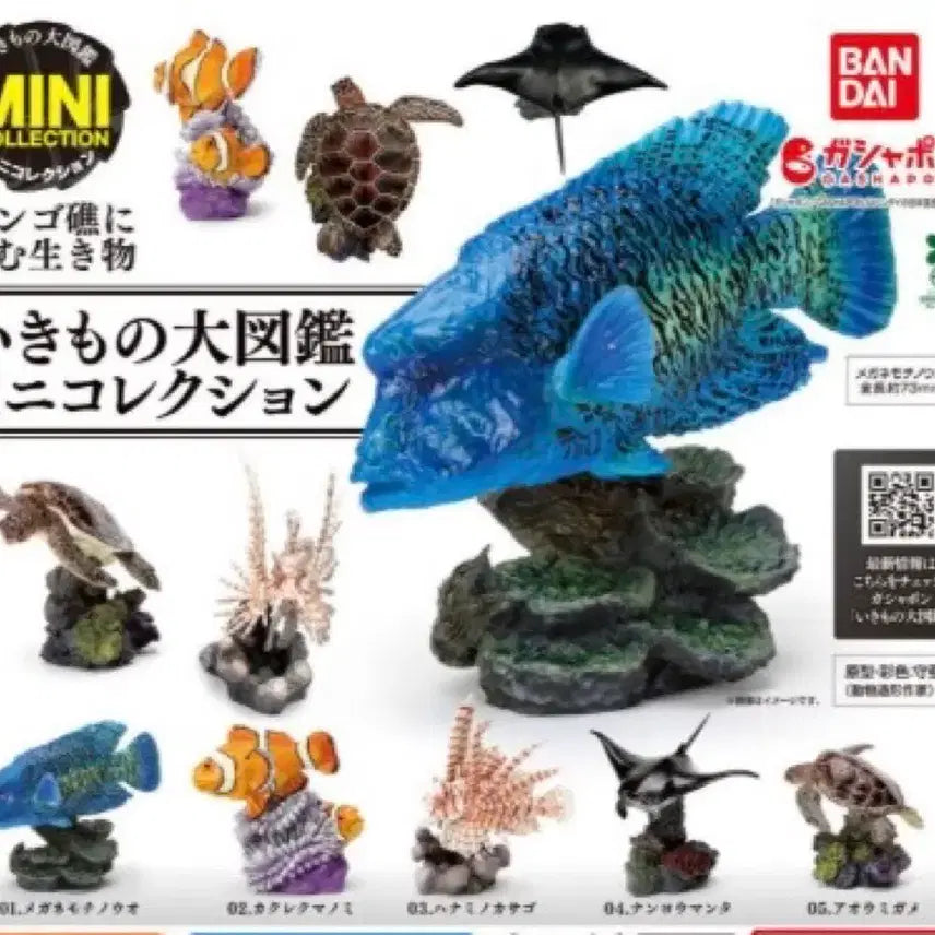 [BUNJANG] Coral Reef Creatures Figure Full Set / 일본가챠 산호초생물피규어 풀셋판매