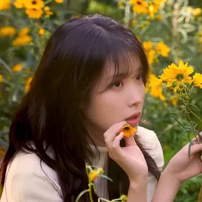 [BUNJANG] IU Photocard Bundle Set with Binder / !급처! 아이유 포카 대량판매 합니다(바인더 포함