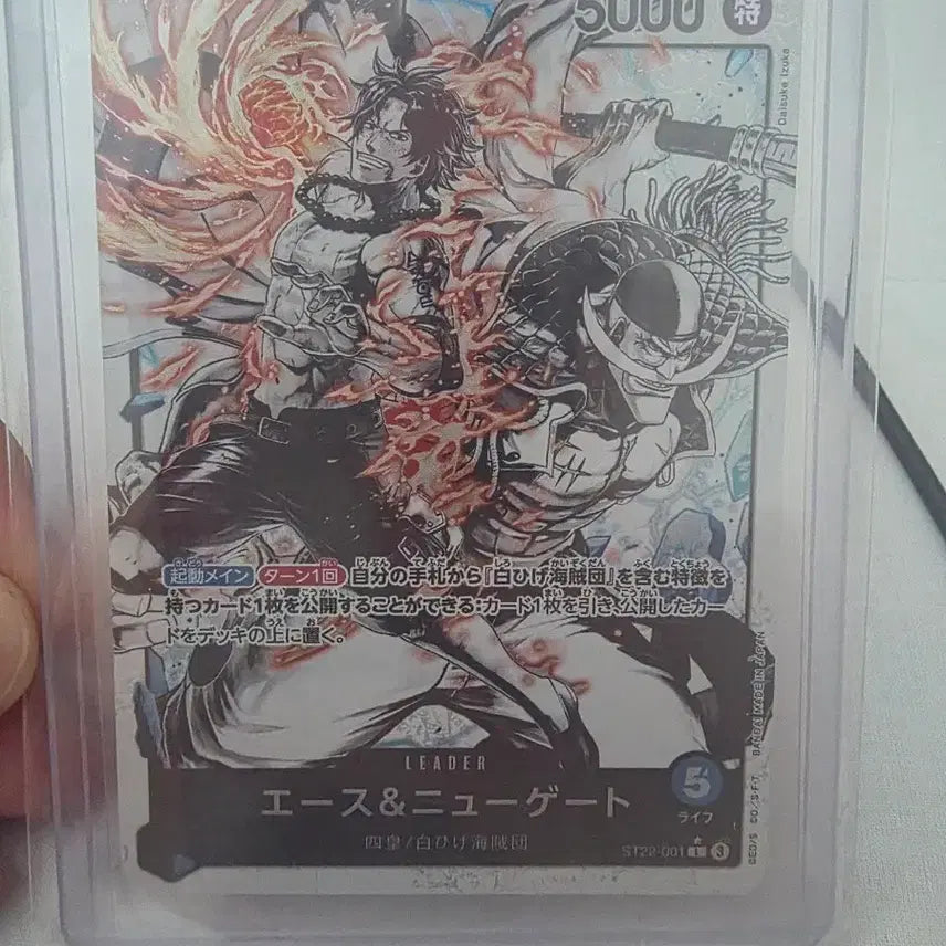 [BUNJANG] One Piece Ace Whitebeard Black and White Leader Pair Card / 원피스카드 에이스흰수염 흑백 리더페레 판매
