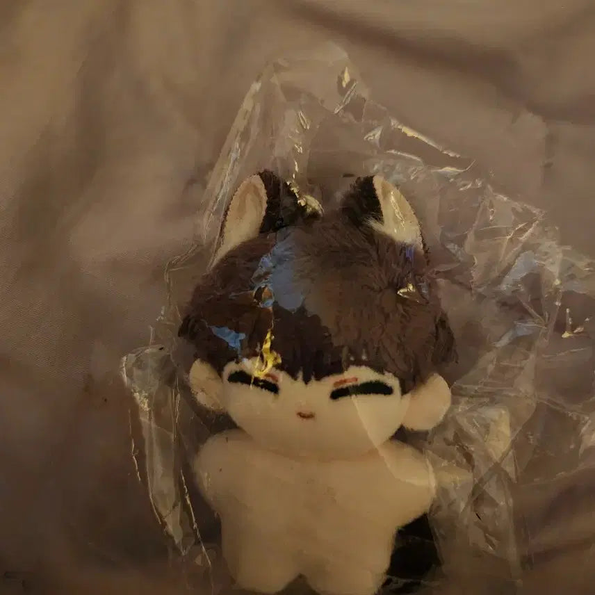[BUNJANG] Hoshina Doll / 호시나 인형