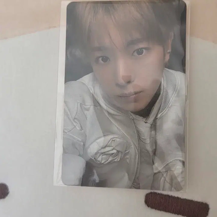 [BUNJANG] Bubble Nyan Ni Cushion Photocard (Sealed) / 버블냥니 쿠션 포카 미개봉 양도