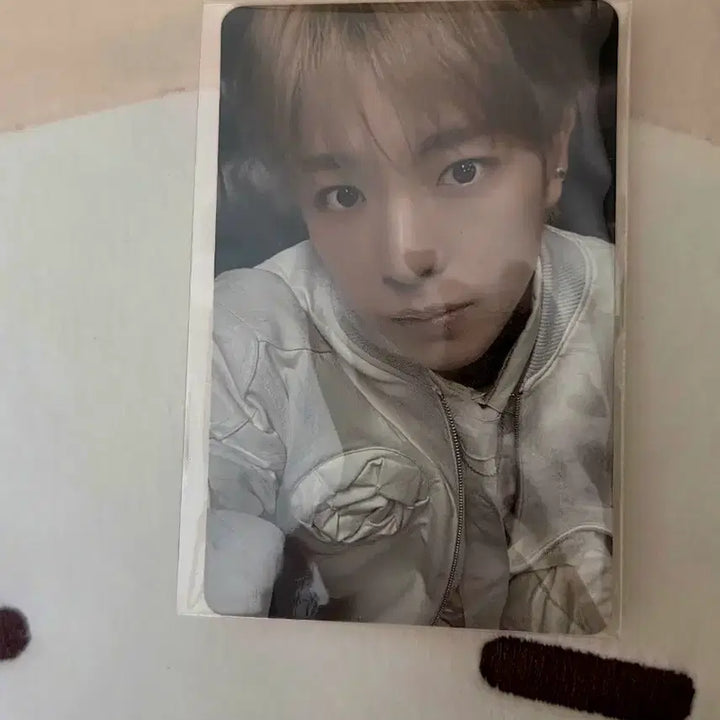 [BUNJANG] Bubble Nyan Ni Cushion Photocard (Sealed) / 버블냥니 쿠션 포카 미개봉 양도