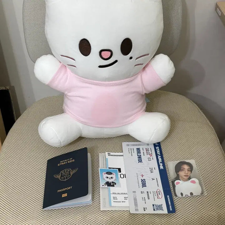 [SOLD OUT] 스키즈 스키주 지니렛 허그미 나안아 인형 + 팝업 입장특전