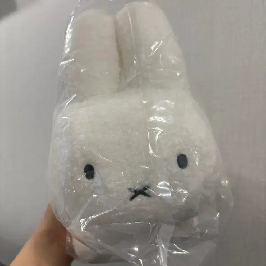 [BUNJANG] Miffy Plush Toy / 미피 인형