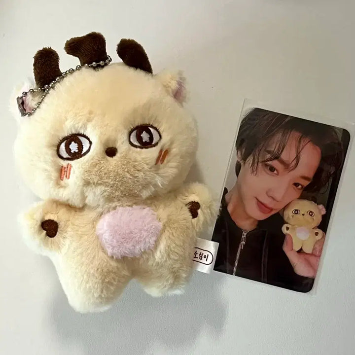 [BUNJANG] Park Jihoon &
