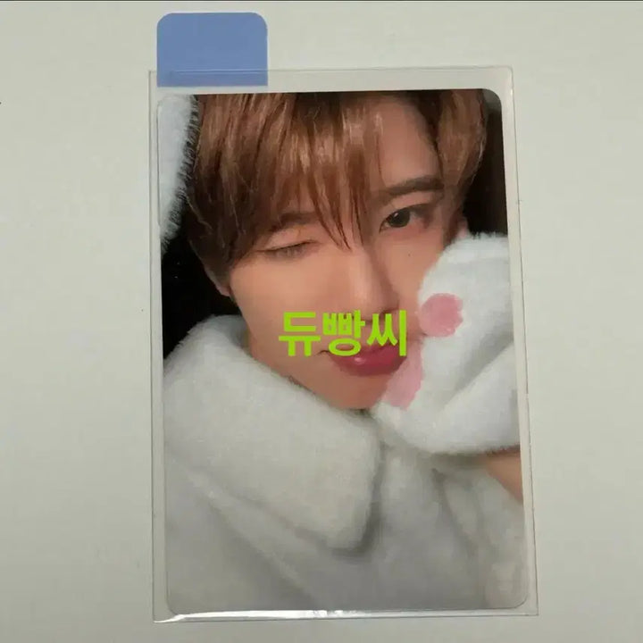 [BUNJANG] NCT WISH SION Melon Animal Pajamas Photocard / 엔시티위시 멜론 melon 동물잠옷 시온 sion 포카 판매 sell