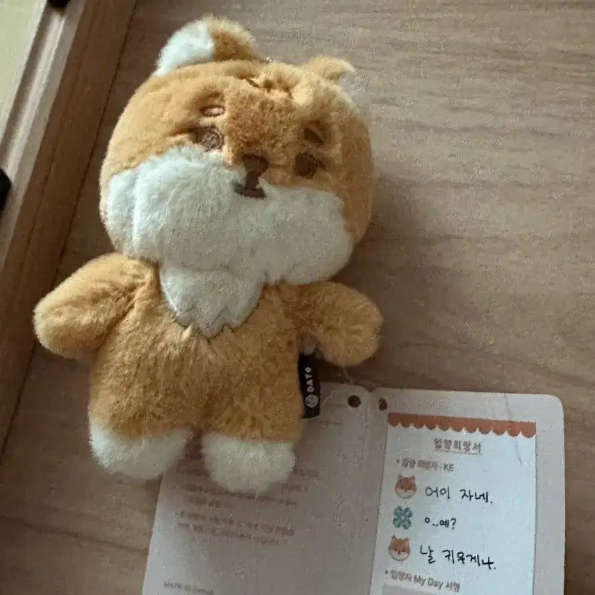 [SOLD OUT] 데이식스 데니멀즈 영케이 쁘니멀즈