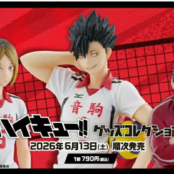 [BUNJANG] Haikyu!! FuRyu Lottery Prize C / 하이큐 후류 쿠지 C상