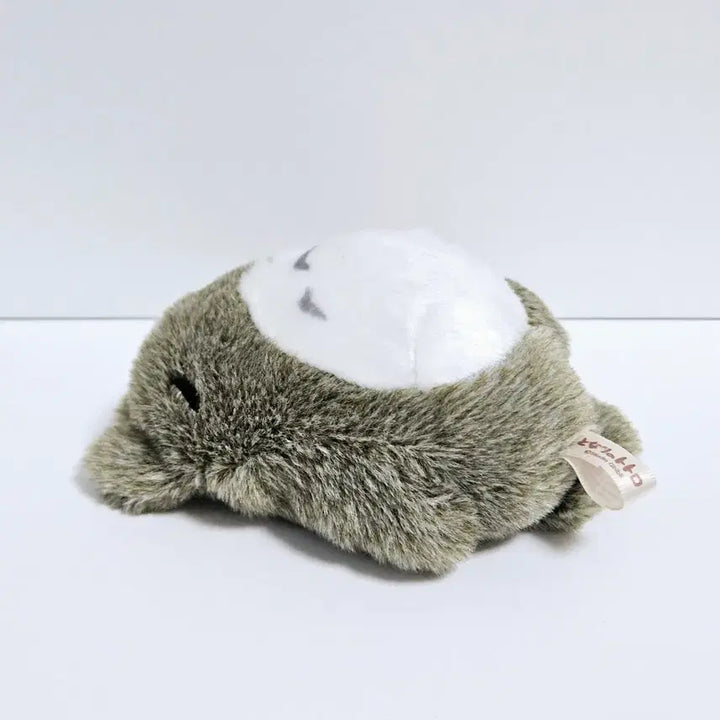 [BUNJANG] Ghibli Napping Totoro Plush Doll / 지브리 누운 토토로 잠토토로 낮잠 토토로 인형