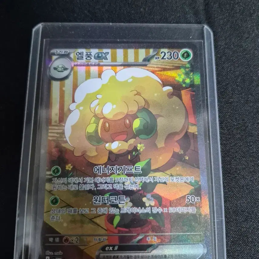[BUNJANG] Blazing Heart AR &amp; Other Pokémon Cards Bundle / 심향의 블레이범 및 2장