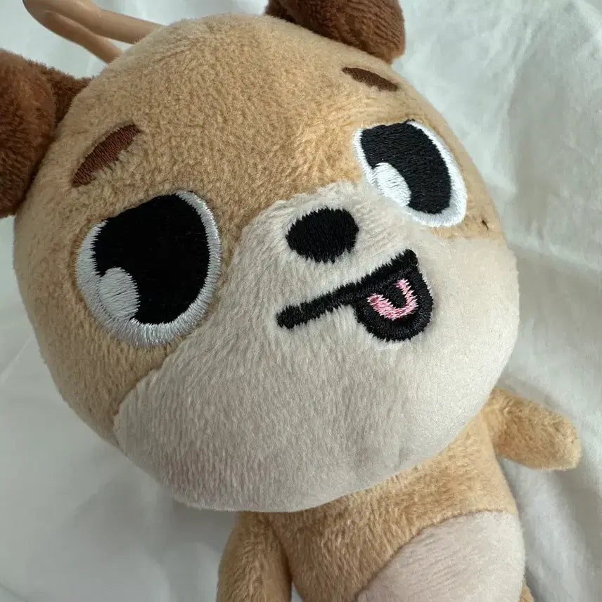 [BUNJANG] DAY6 Dennimals Old Version Teddy Bear Plush Toy / 데이식스 데니멀즈 22돈 구버전!! 메롱돈 원가이하 양도