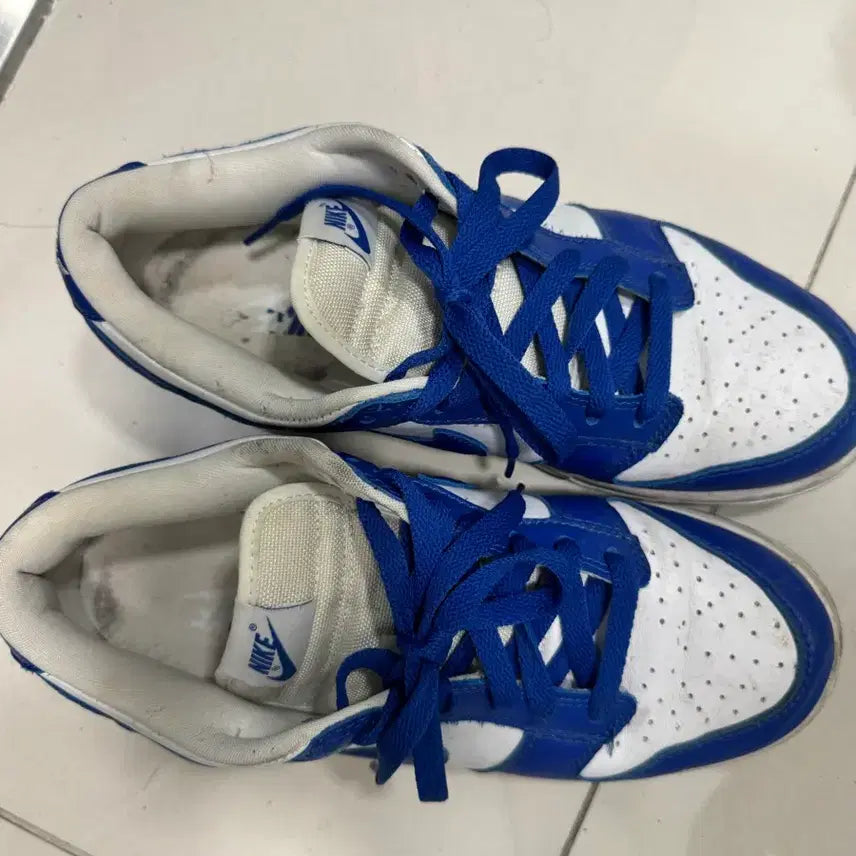 [SOLD OUT] 덩크로우 260사이즈