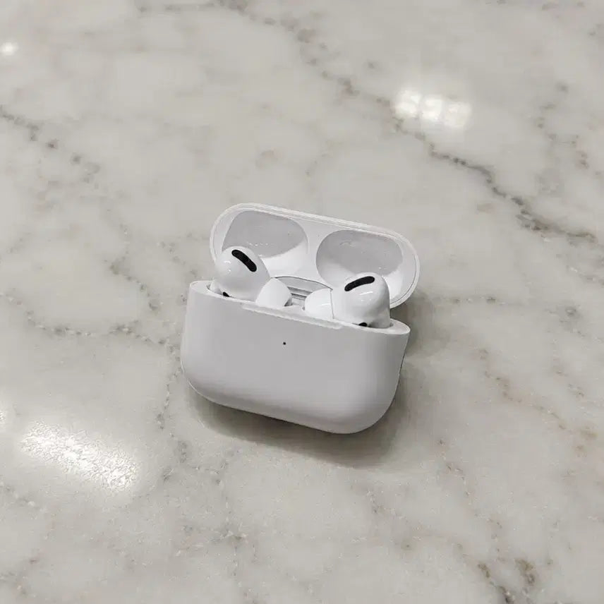 [BUNJANG] Apple AirPods Pro 1st Generation / 에어팟 프로1세대