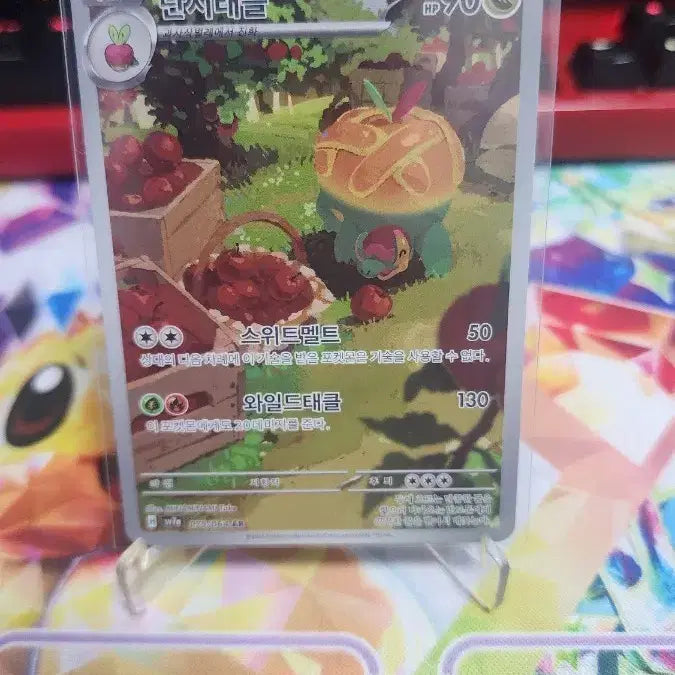 [BUNJANG] Pokemon Danji Raffle AR Graded Card / 포켓몬 단지래플 ar