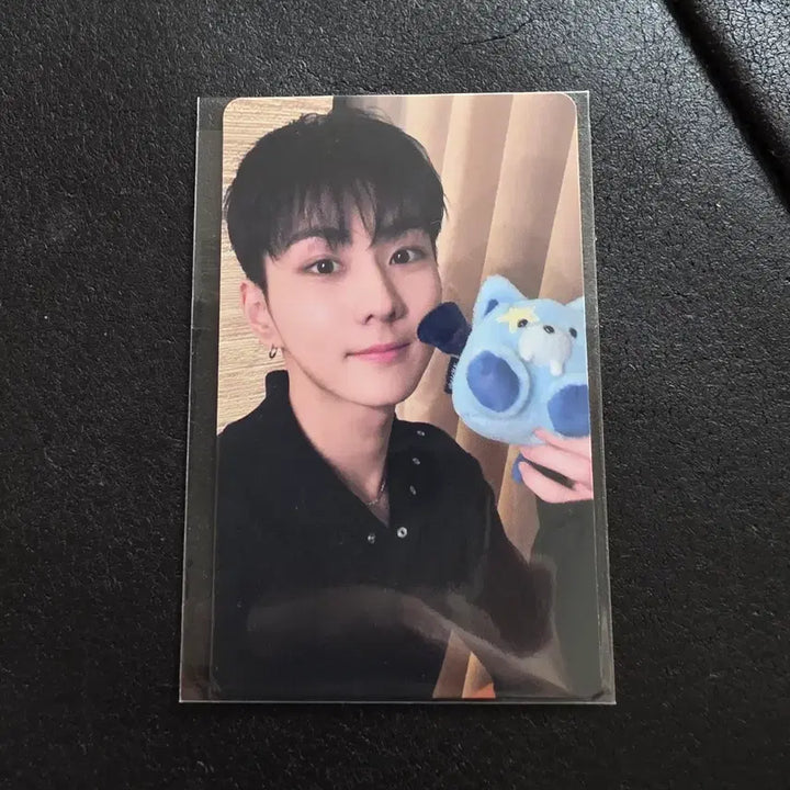 [BUNJANG] ENHYPEN THE STARNISH JUNGWON Version Bamboo Boo Japan Lucky Draw Photocard / 엔하이픈 더씬 배니쉬 정원 버전 뱀부부 재팬 럭드