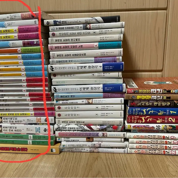[BUNJANG] Miscellaneous Light Novels and Manga Collection / 잡다한 라이트노벨 총43권 만화책 총11권 일괄팜