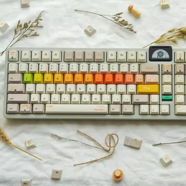 [BUNJANG] PBT Rainbow Mango Keycap Set / Pbt 레인보우 망고 키캡 (1.7mm)