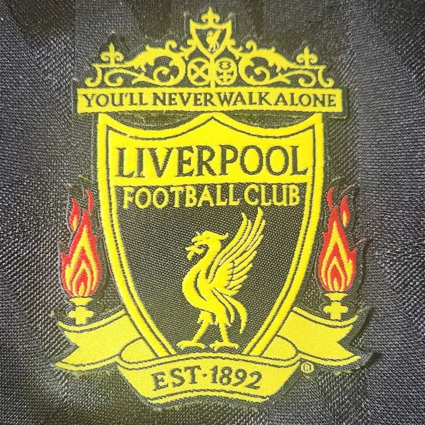 [BUNJANG] Adidas Liverpool 10-11 Third Jersey (No Player Name) / 아디다스 10-11 리버풀 써드 노마킹 유니폼