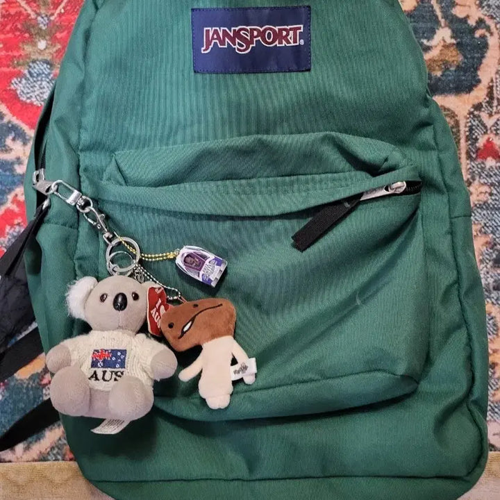 [BUNJANG] JanSport Backpack Green / 잔스포츠 백팩 그린색상