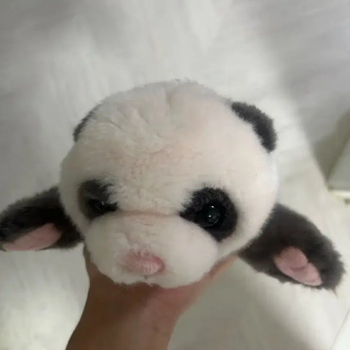 [BUNJANG] Fubao 50-Day Commemorative Plush Toy / 푸바오 50일 인형 정품