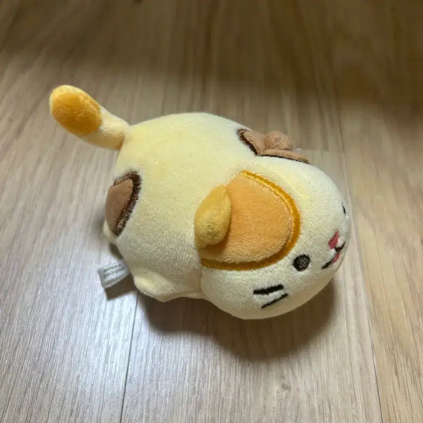 [BUNJANG] Cheesy Cat Stress Ball Toy / 치즈냥이 스트레스볼