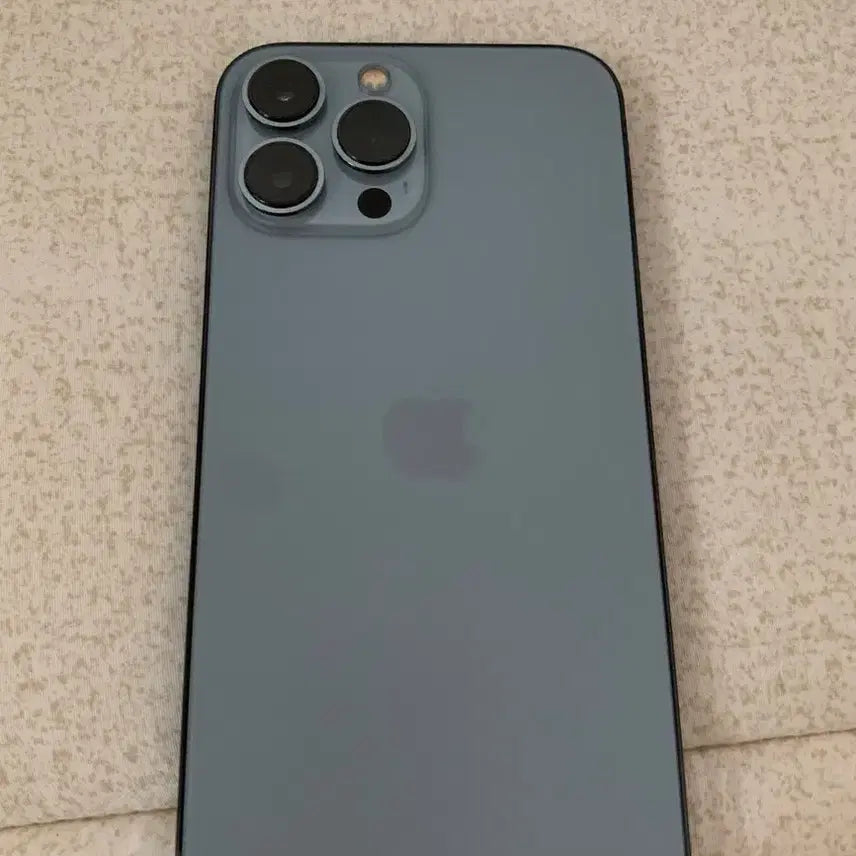 [BUNJANG] Apple iPhone 13 Pro Max Sierra Blue / 애플 아이폰 13 프로 맥스 시에라 블루