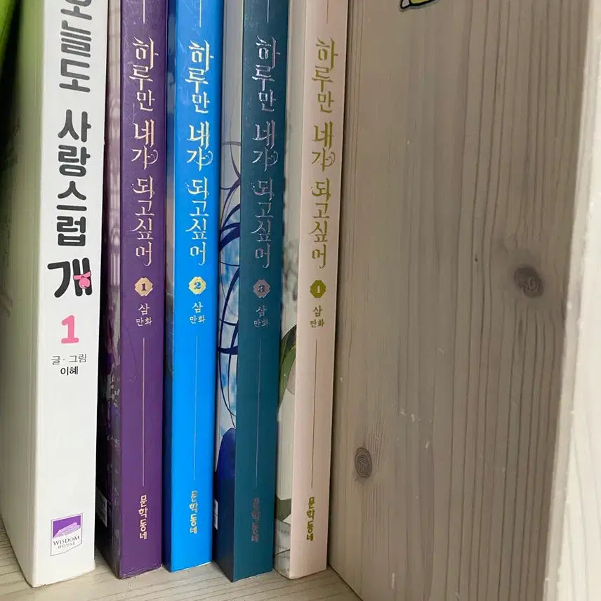 [BUNJANG] Day/Night I Want to Be You - Complete Volumes 1-4 &amp; Today, My Love is Lovely - Volume 1 Manga Set / 하루만 네가 되고 싶어 전권 1-4권 오늘도 사랑스럽개 만화책 단행본