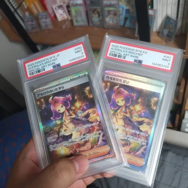 [BUNJANG] Pokemon Card Acerola&