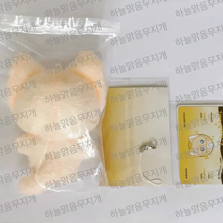 [BUNJANG] Plaeve Chinomi Noah 11cm Doll Set / 플레이브 비공식 굿즈 비공굿 인형 솜인형 치노미 노아 원가이하 양도