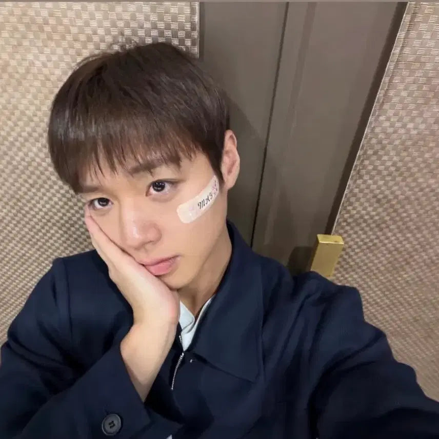 [BUNJANG] Park Ji-hoon Official "So-sim-i" Doll / 배우 박지훈 공식 인형 소심이 판매