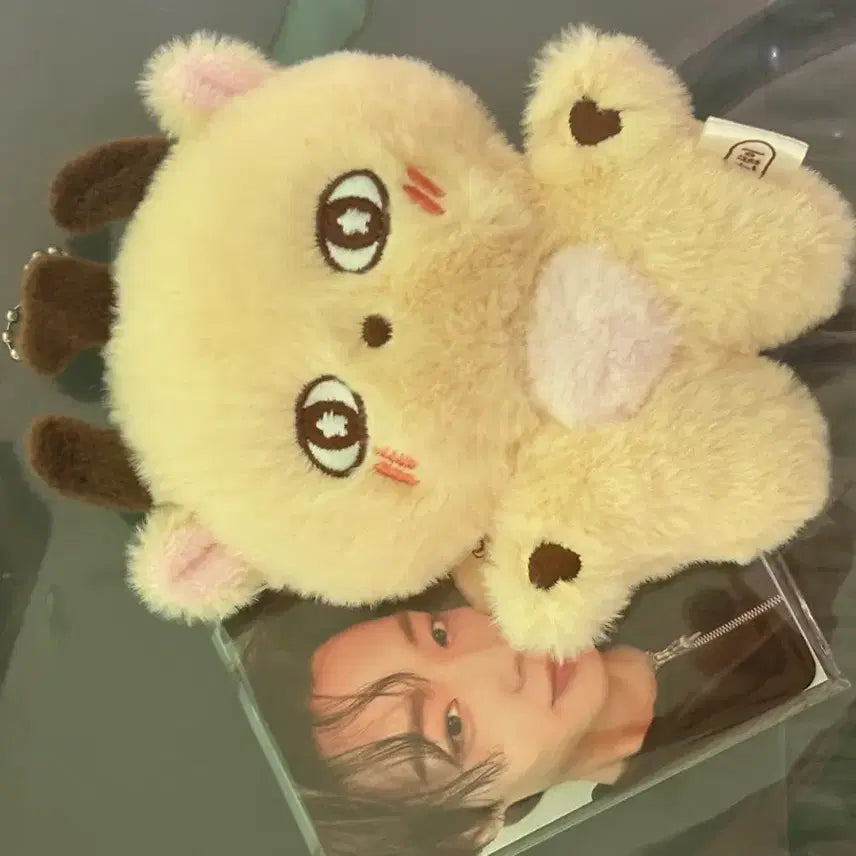 [BUNJANG] Park Ji-hoon Official "So-sim-i" Doll / 배우 박지훈 공식 인형 소심이 판매