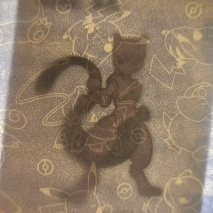 [BUNJANG] Mewtwo Sticker / 뮤츠 띠부실 ㅍㅁ(급처)